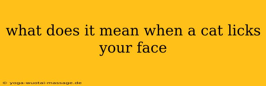 what does it mean when a cat licks your face