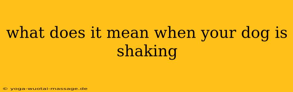 what does it mean when your dog is shaking