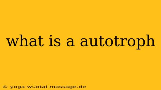 what is a autotroph