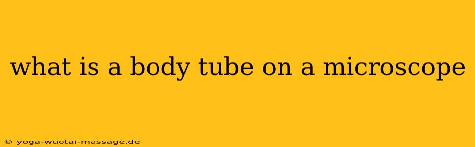 what is a body tube on a microscope