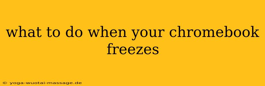 what to do when your chromebook freezes