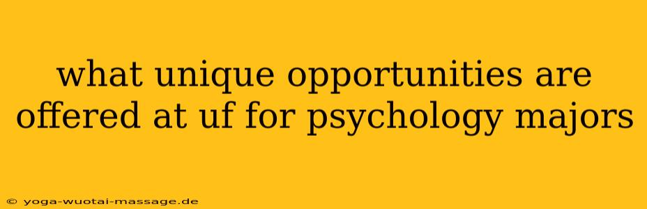 what unique opportunities are offered at uf for psychology majors