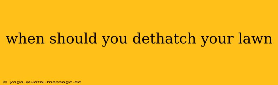 when should you dethatch your lawn