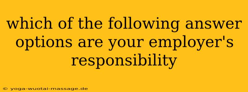 which of the following answer options are your employer's responsibility