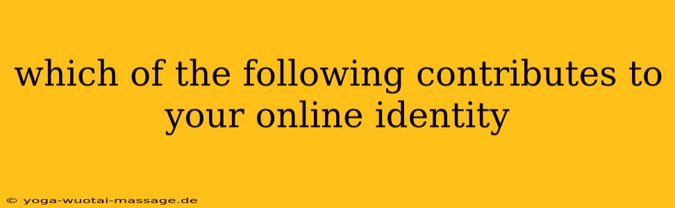 which of the following contributes to your online identity