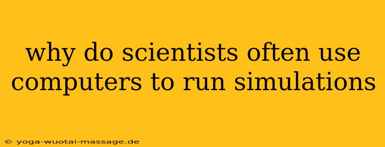 why do scientists often use computers to run simulations