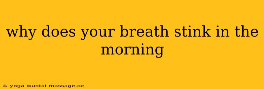 why does your breath stink in the morning